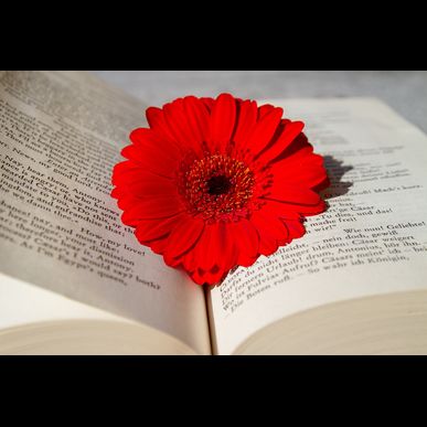 肉僧　美味い肉刺身の食べれるお店